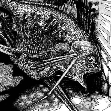 junji ito's collection